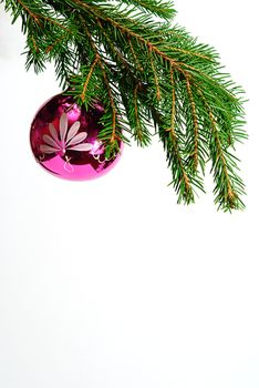 green  fir tree  twig and red ball