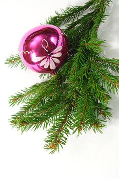 green  fir tree  twig and red ball