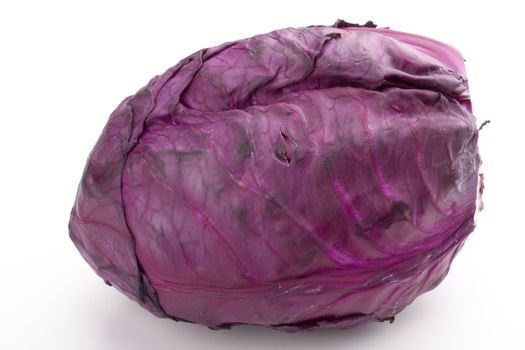 red cabbage on white background