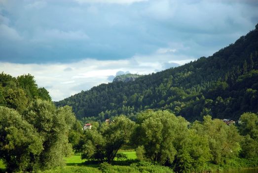 Green mountain forest. Czech Republic