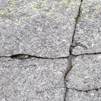 The cracked grey surface of a rock