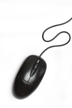 Black computer mouse isolated on white background with clipping path