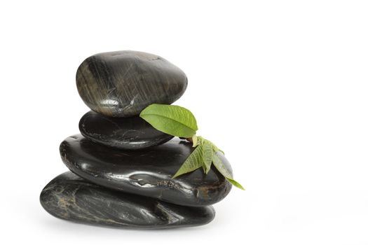 Green leaves lying on black balancing stones on white background. Clipping path included