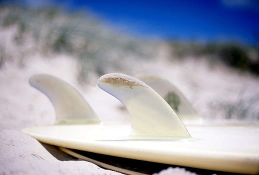 A 3 fin surfboard lays in the sand on the beach