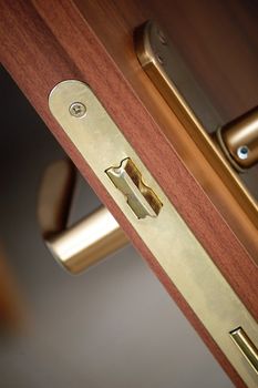 closeup of a golden handle modern door, vertical