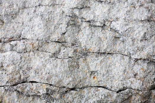 The cracked grey surface of a rock