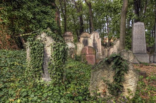 The Old Jewish cemetery at Kolin - one of the oldest landmarks of that kind in Bohemia. The beginning of the cemetery dates back to the 15th century. The oldest tombstones are from 1492. There are over 2600 tombstones on the cemetery. For example: tombstone of Becalel, son of Jehuda Low (1599). Kolin, Czech republic, Europe, EU.