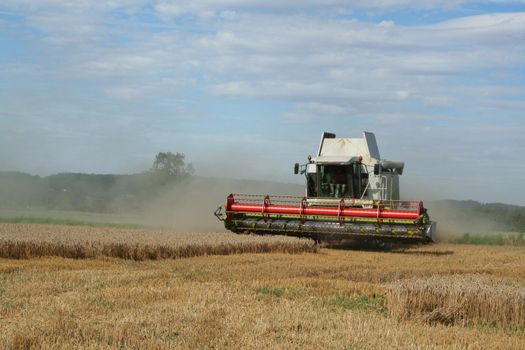 harvester on a wheat field