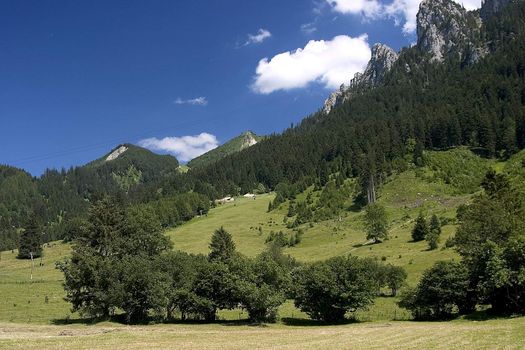 Beautiful pasture and mountains in Germany ( Allgäu )
Schöne Weide und Berge in Deutschland 
