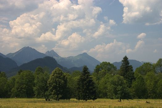Beautiful pasture and mountains in Germany ( Allgäu )
Schöne Weide und Berge in Deutschland 

