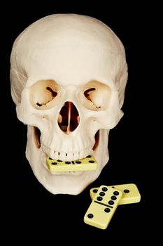 Skull eating dominoes isolated on a black background