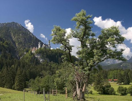 Beautiful pasture and mountains in Germany ( Allg�u )
Sch�ne Weide und Berge in Deutschland 
