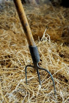 Close-up of rake stirring the hay


