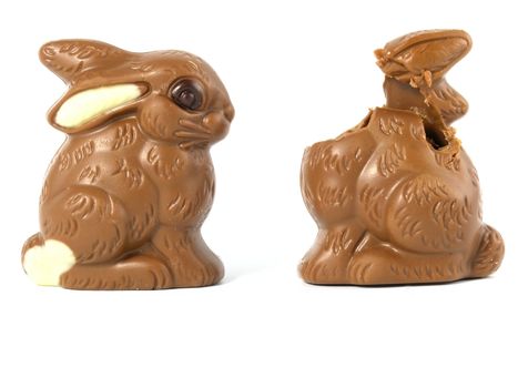 Chocolate Easter Bunny isolated on white background 