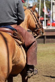 Horse dressage competition. Cowboy on a brown beautiful horse