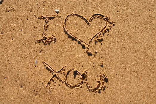 I love you written in the sand
