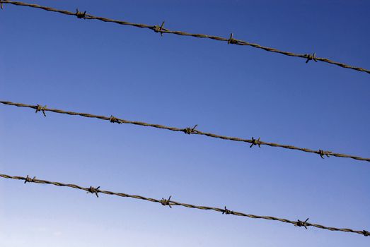 Cut wire fence with dark blue sky background.