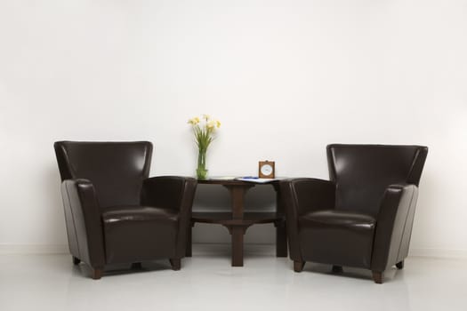 Two brown armchairs and table with daffofils still life.