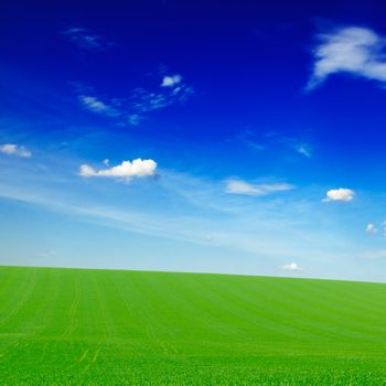 white clouds and green field 