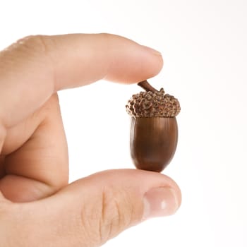 Hand holding up single acorn between two fingers.