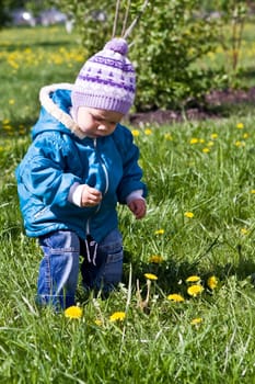 Walking in target in park, we collect dandelions.