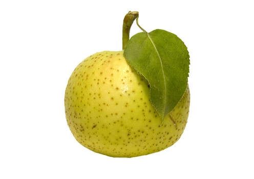 Green wild-growing apple