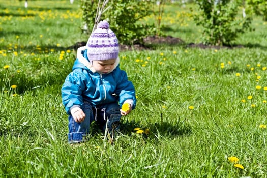 Walking in target in park we collect dandelions.