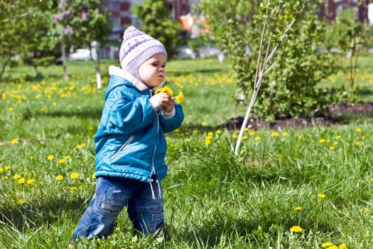 Walking in target in park we collect dandelions.