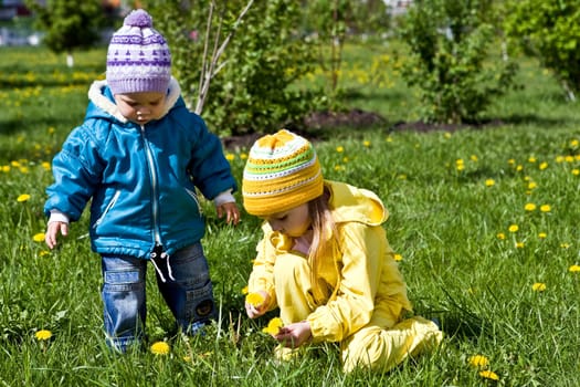 Walking in target in park, we collect dandelions.