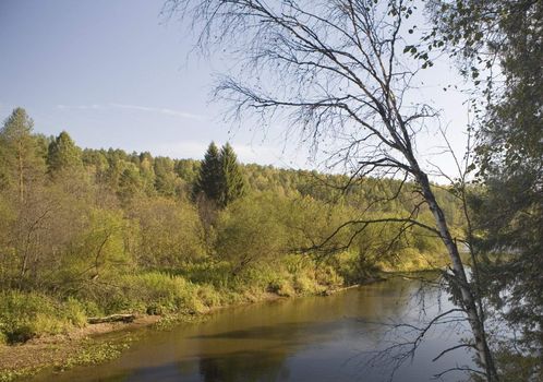 National reserve  Deer Streams The river Serga