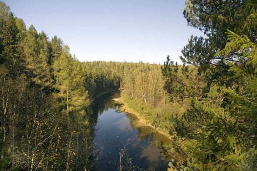 National reserve  Deer Streams The river Serga