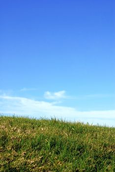 Green grass, blue sky and white clouds. Vertical image.