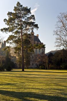 The picture is made in the december frosty morning in suburb of Paris