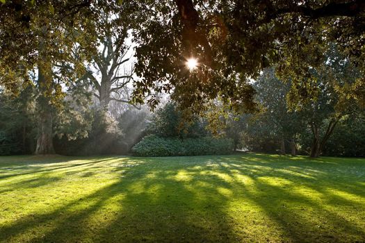 Park of castle of Chenonceau