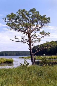 The picture is made on coast of the river 'Black' the city of Sysert