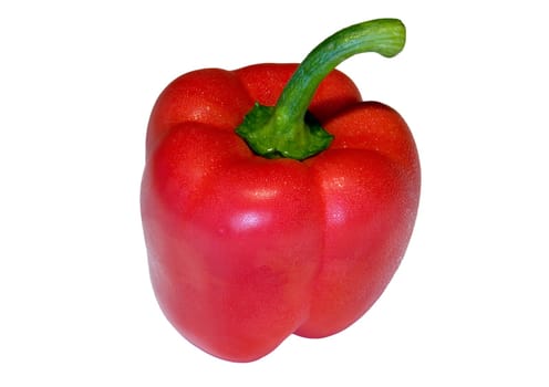 Red sweet pepper