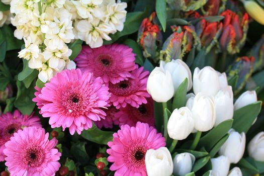 Pink gerberas and white tulips in a flower parade arrangement