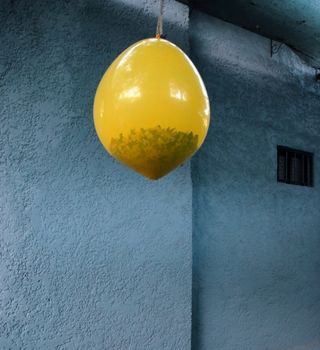 Pinata. Hanging yellow balloon with gifts and confetti inside. Rough wall texture background
