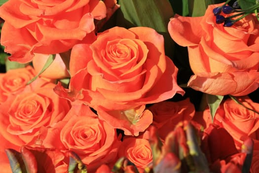 A bouquet of orange roses in a flower parade