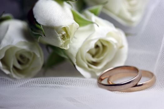Wedding rings on a background of white flowers