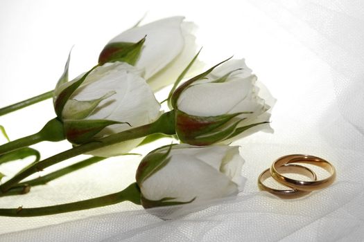 Wedding rings and white roses