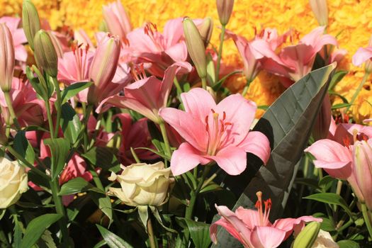 Floral arrangement with pink tigerlilies and white roses