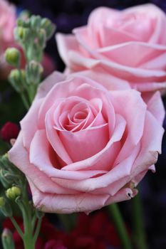 Big pink roses as part of a flower arrangement in close up