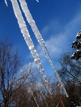 Two transparent icicles on a background of blue sky