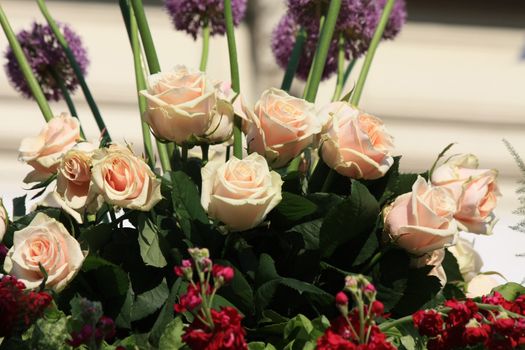 Pink rose flower arrangement in the sunlight