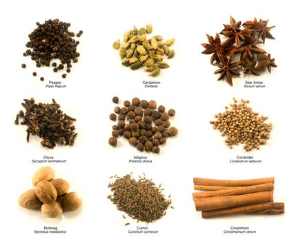 Chart of nine common spices with name under each pile