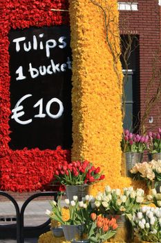 Tulips for sale on a floral exhibition