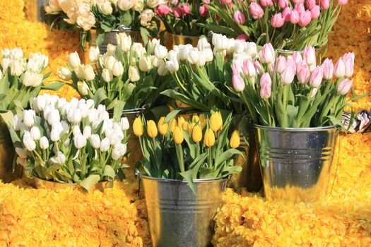 bunches of tulips in metal buckets