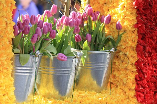 purple tulips in metal buckets on a floral exhibition