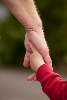 Mature woman holding hands walking with with young child